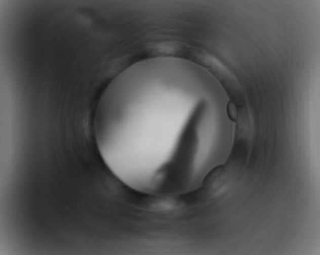 X0000093240377200710101426