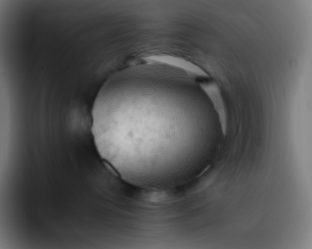 X0000093240384200710101426