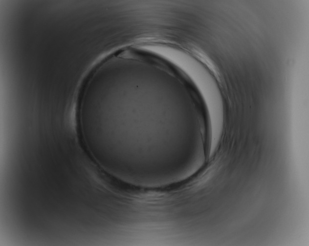 X0000093240387200710101426