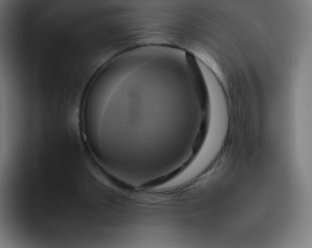 X0000093240389200710101426
