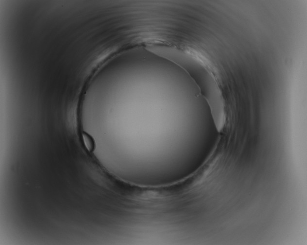 X0000093240390200710101426