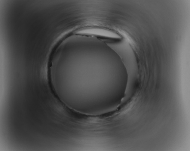 X0000093240391200710101426