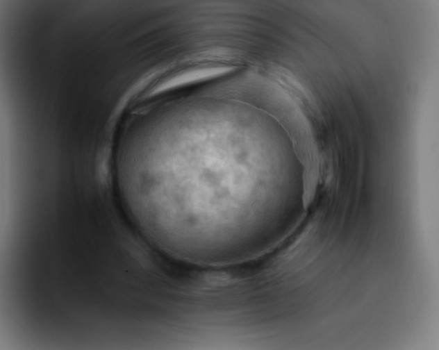 X0000093240392200710101426