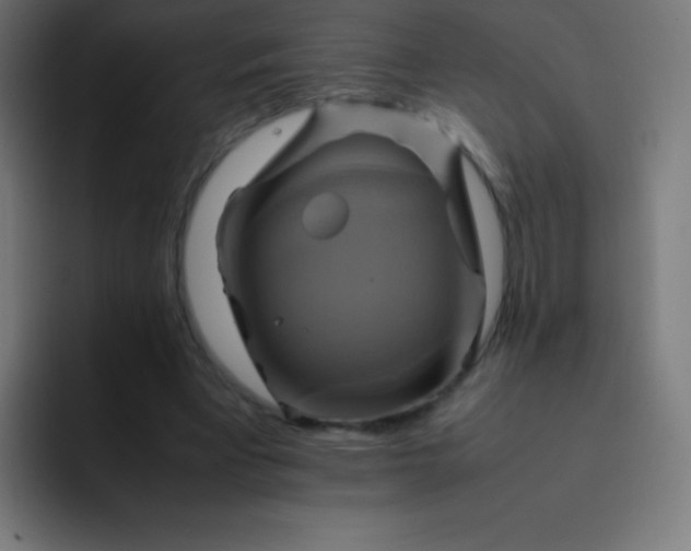 X0000093240393200710101426