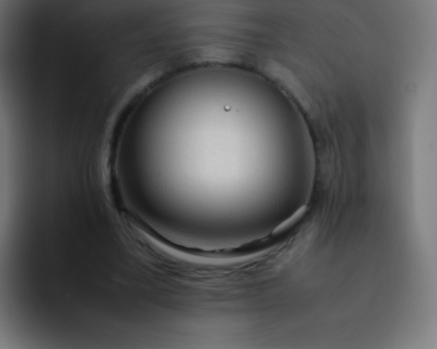 X0000093240395200710101426