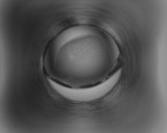 X0000093240397200710101426