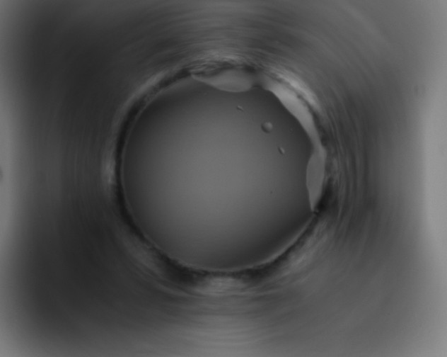X0000093240399200710101426