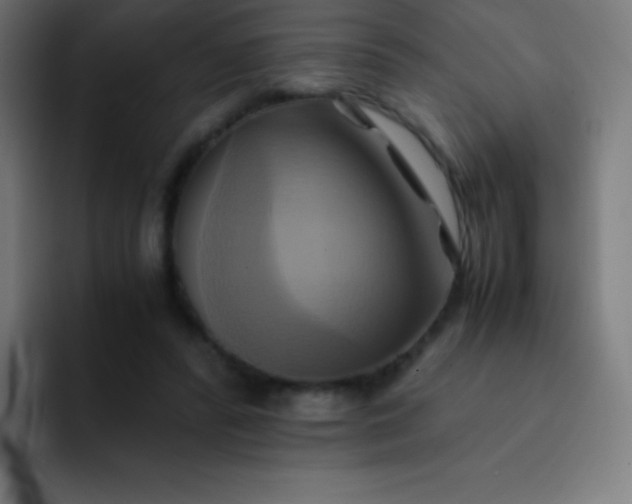X0000093240400200710101426