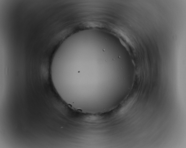 X0000093240402200710101425