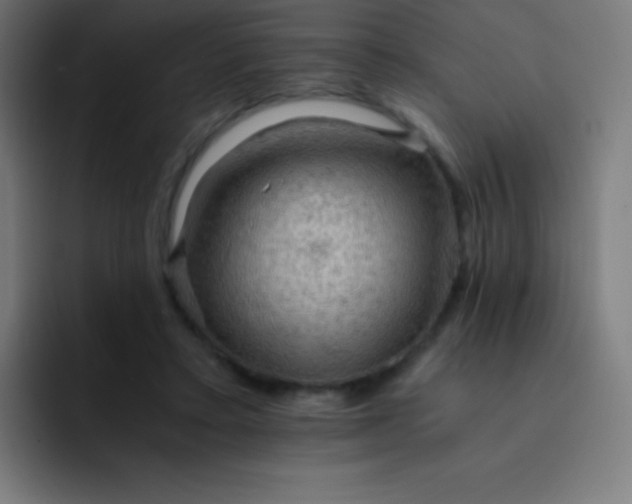 X0000093240403200710101425