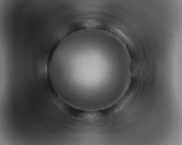 X0000093240405200710101425