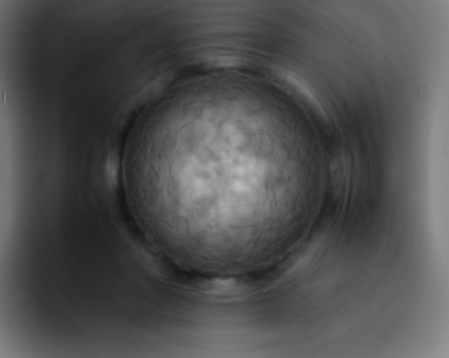 X0000093240406200710101425