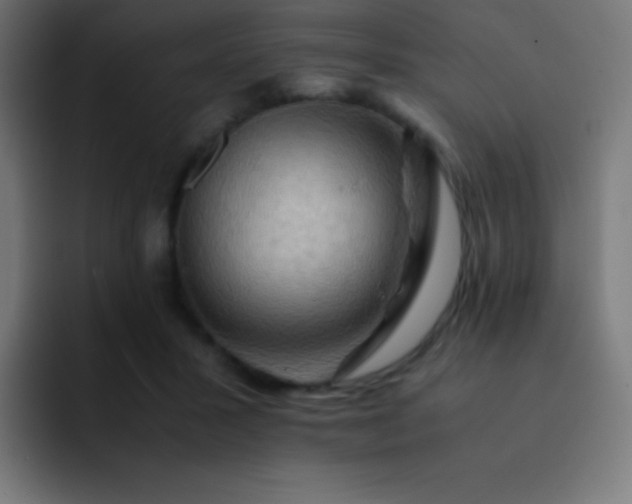 X0000093240407200710101425