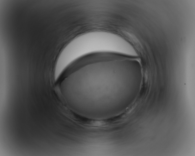 X0000093240409200710101425