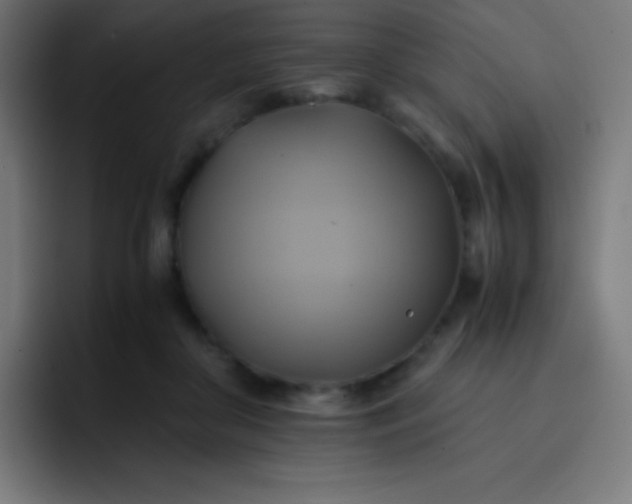 X0000093240410200710101425