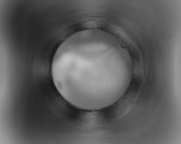 X0000093240411200710101425