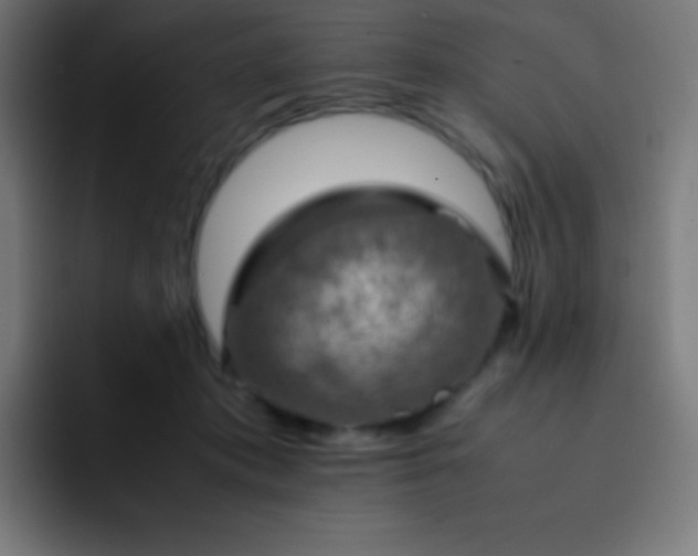 X0000093240413200710101425