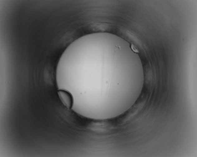 X0000093240414200710101425