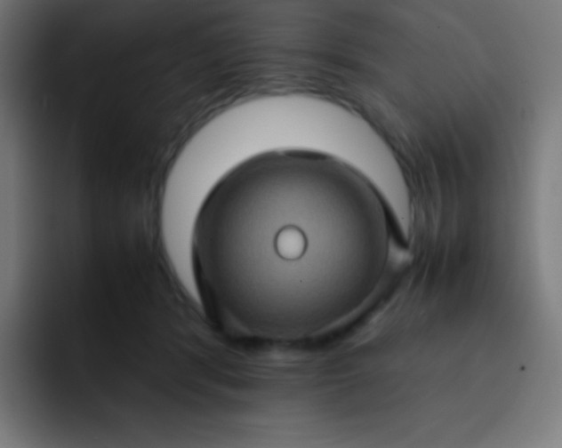 X0000093240416200710101425