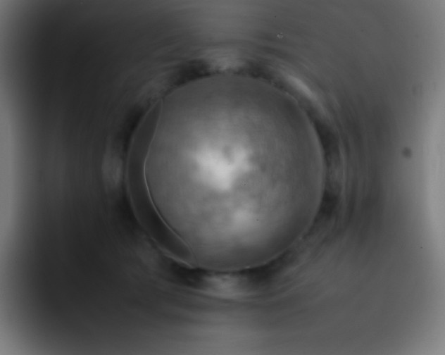 X0000093240417200710101425