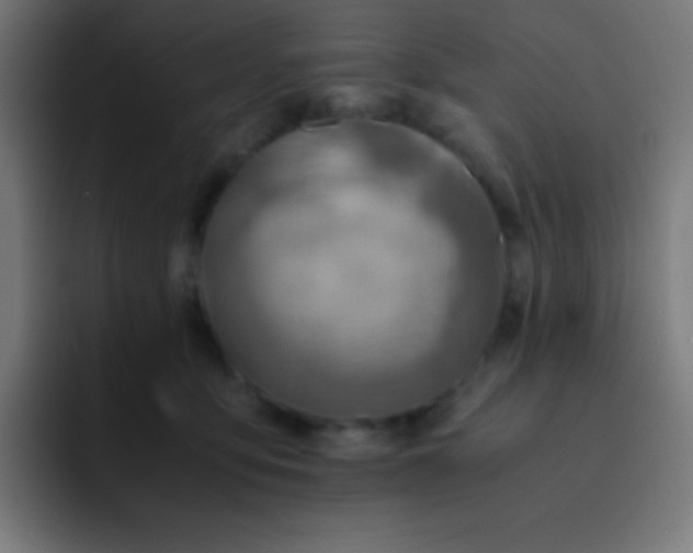 X0000093240419200710101425