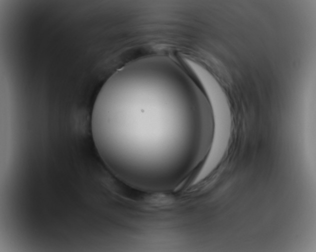 X0000093240421200710101425