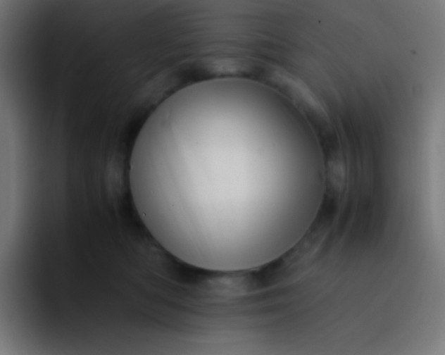 X0000093240422200710101425