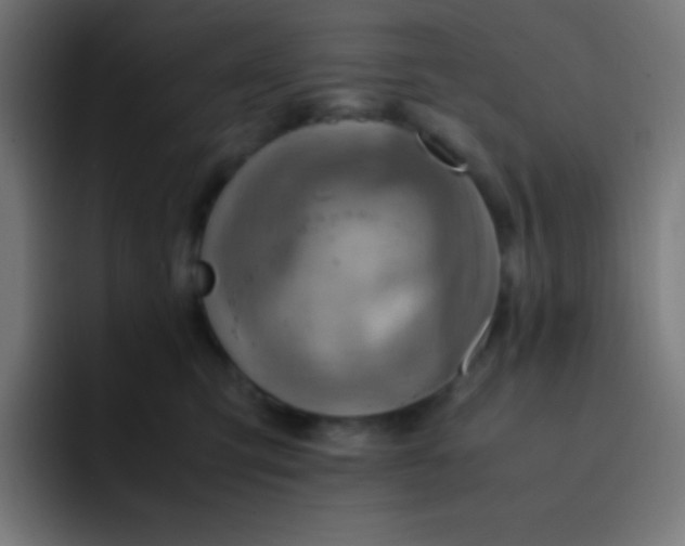 X0000093240423200710101425