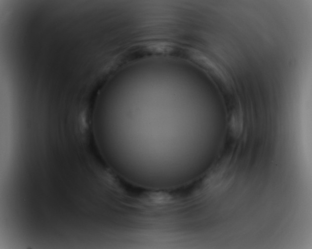 X0000093240424200710101425