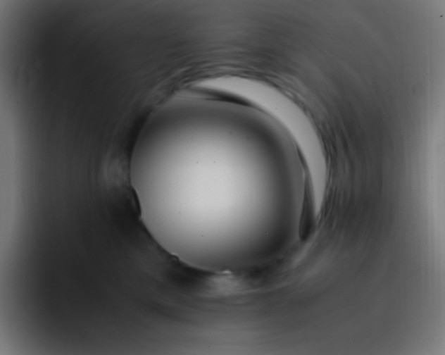 X0000093240425200710101425