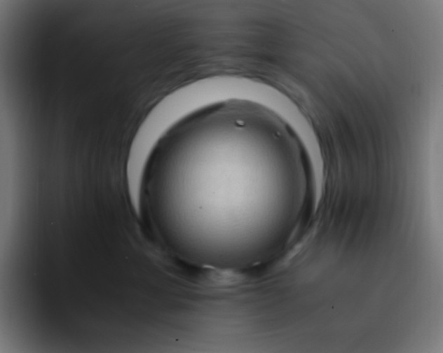 X0000093240429200710101425