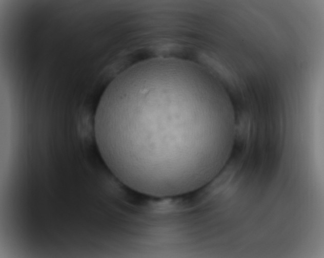 X0000093240430200710101425