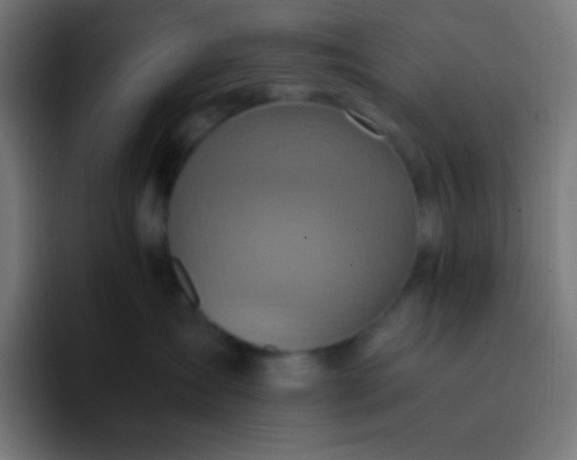 X0000093240431200710101425