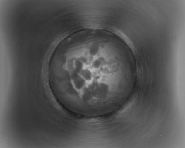 X0000093240433200710101425