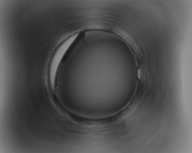 X0000093240434200710101425