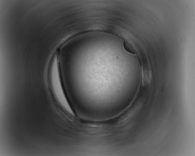 X0000093240435200710101425