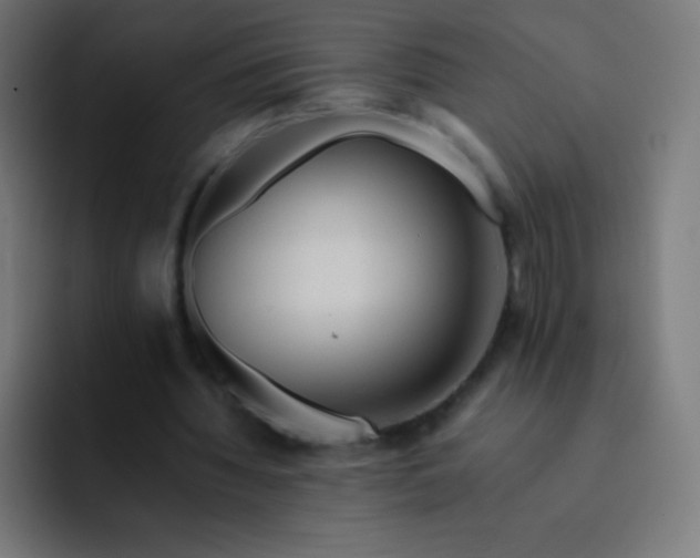 X0000093240436200710101425