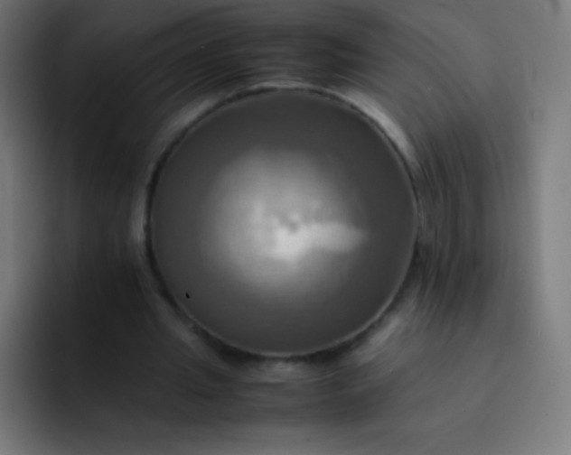 X0000093240437200710101425