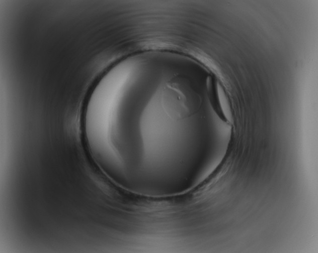 X0000093240438200710101425