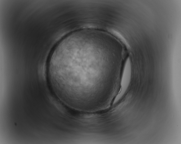 X0000093240439200710101425