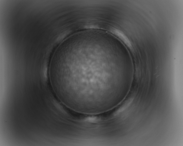 X0000093240441200710101425
