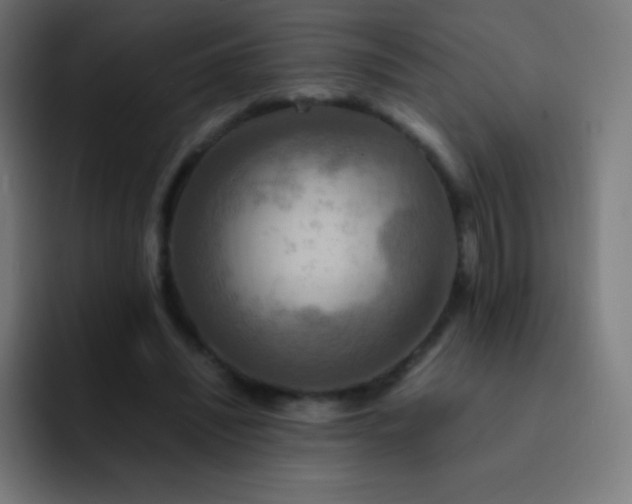 X0000093240444200710101425