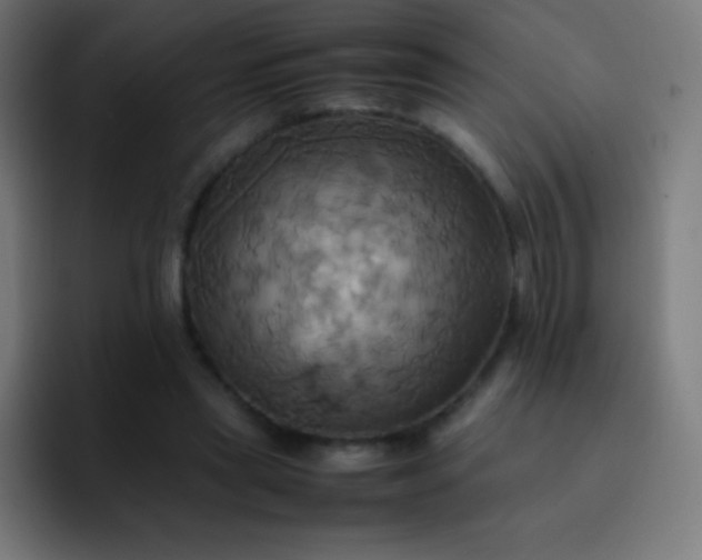 X0000093240445200710101425
