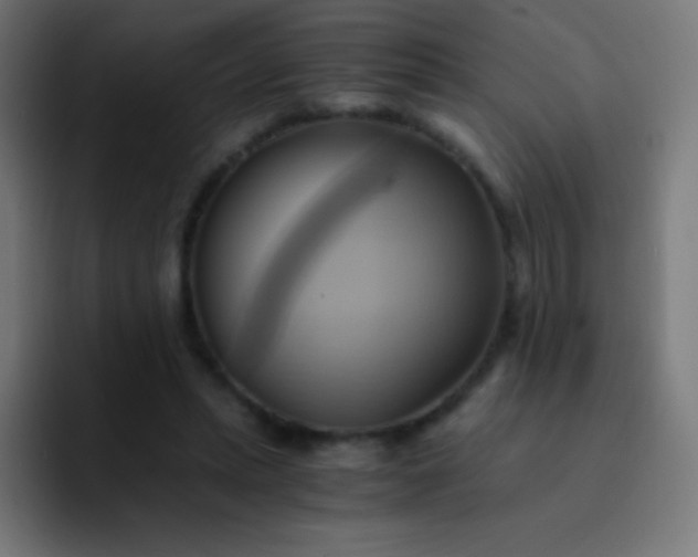 X0000093240447200710101425