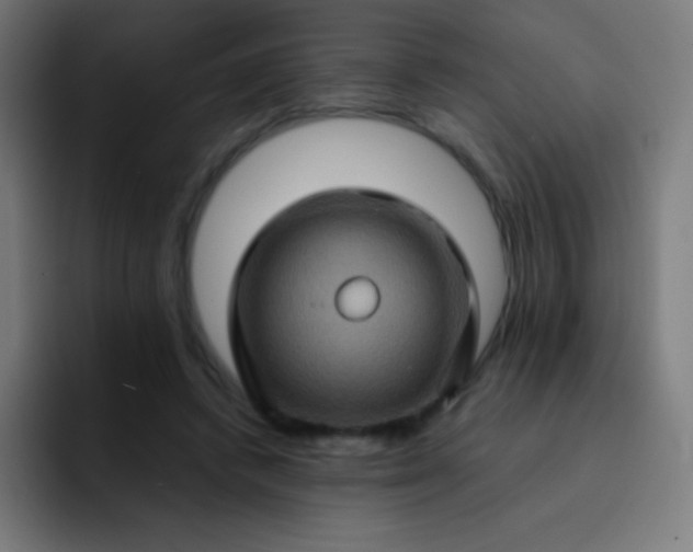 X0000093240448200710101425