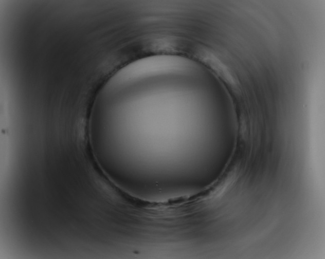 X0000093240449200710101425
