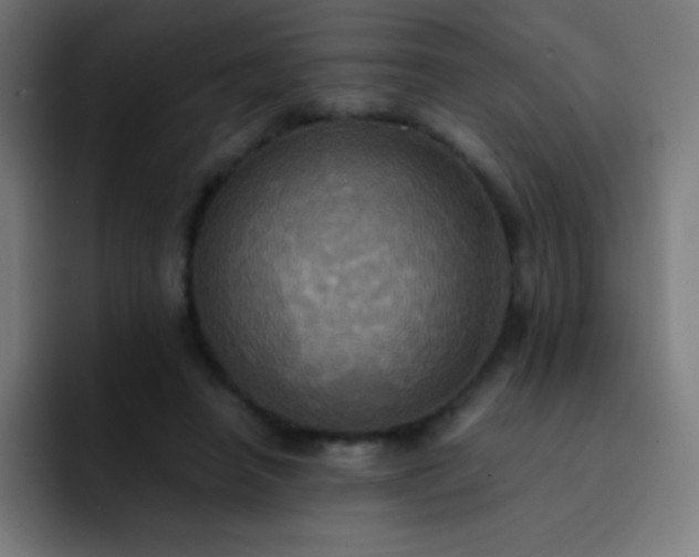X0000093240450200710101425