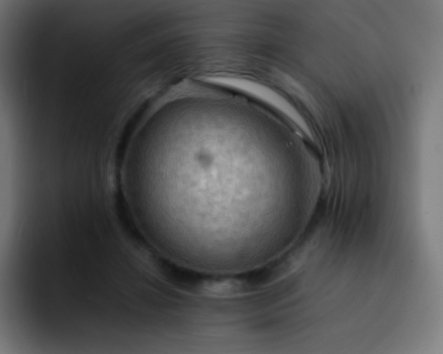 X0000093240452200710101425