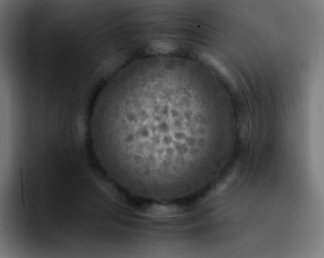 X0000093240455200710101425