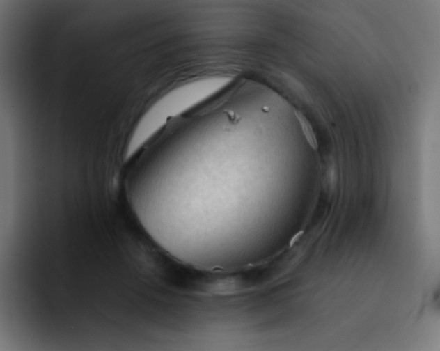 X0000093240456200710101425